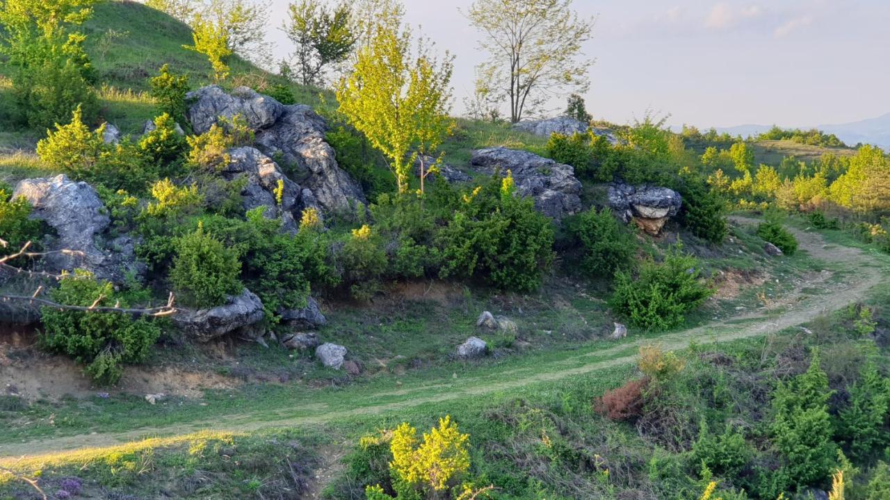 Бялата Къща Otel Chakalarovo Dış mekan fotoğraf